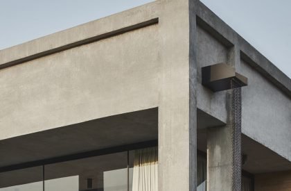 Mirador | SHROFFLEóN