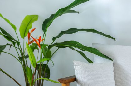 Terramead Villa | Srijit Srinivas - ARCHITECTS