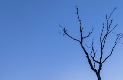 Casa Asolo | Saymon Dall Alba Arquiteto