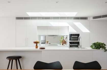 Harbord Diggers Club | CHROFI + Architectus