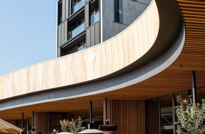 Harbord Diggers Club | CHROFI + Architectus