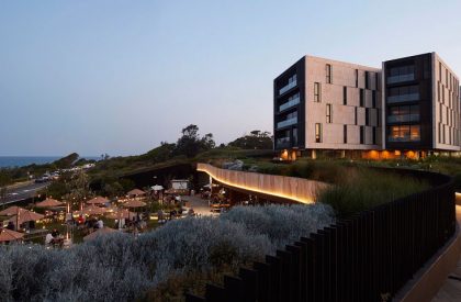 Harbord Diggers Club | CHROFI + Architectus
