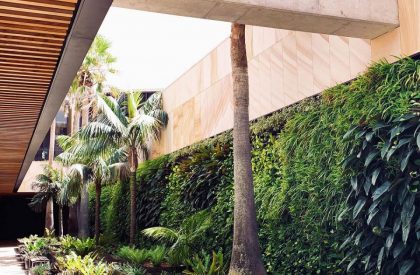 Harbord Diggers Club | CHROFI + Architectus