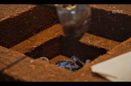 Retaurant 0 | Kuidas.works