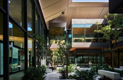 House of Wisdom (Sharjah Digital Library) | Foster + Partners