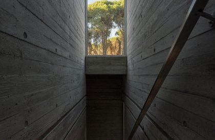 Galatea House | Estudio Galera