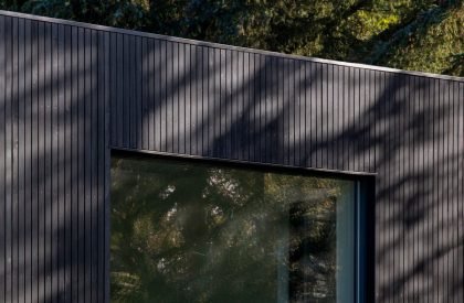Cornival | Brown and Brown Architects
