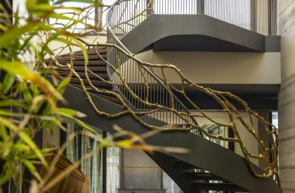 Earth and Glass House | Studio Lotus