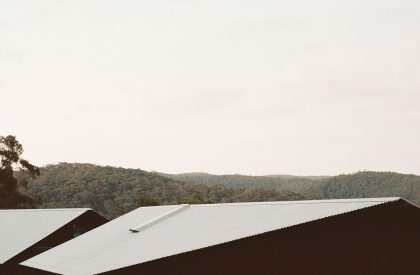 Two Sheds | DREAMER