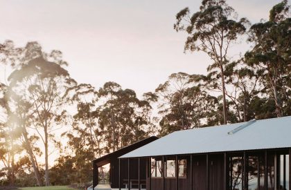 Two Sheds | DREAMER