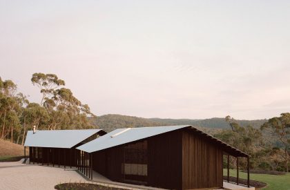 Two Sheds | DREAMER