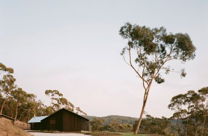 Two Sheds | DREAMER