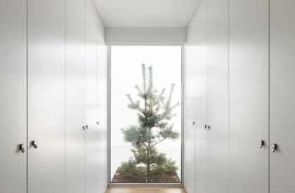 Casa H1 | Bruno H Gomes Arquitectura