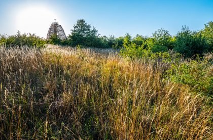 Doubravka | HAMR Hut Architektury Martin Rajnis