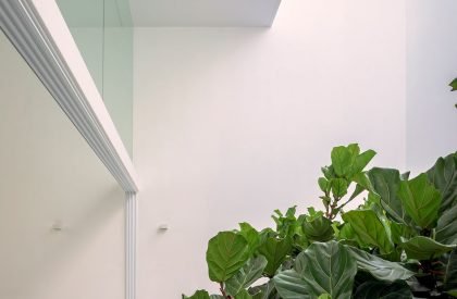 La Piedad | cotaparedes arquitectos