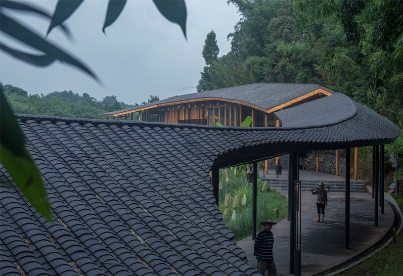 Bamboo Branch Academy | Archermit