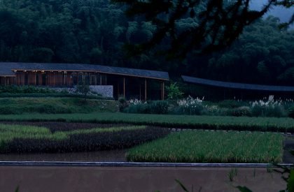 Bamboo Branch Academy | Archermit