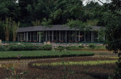 Bamboo Branch Academy | Archermit