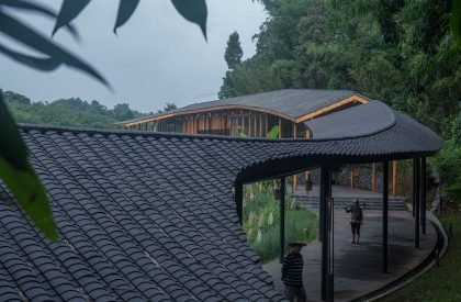 Bamboo Branch Academy | Archermit