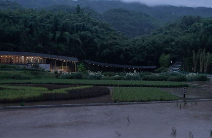 Bamboo Branch Academy | Archermit