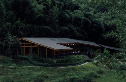 Bamboo Branch Academy | Archermit