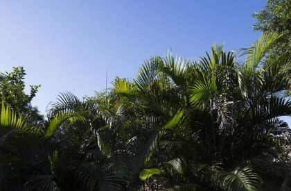 estudio tda®luque | TDA