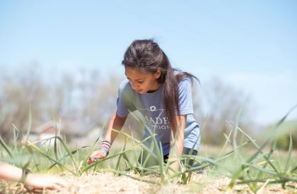 Home Building at Thaden School | EskewDumezRipple