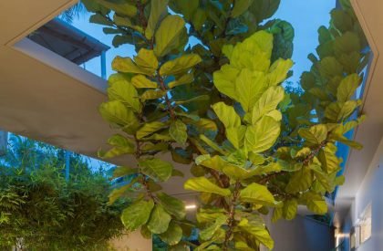 The Hidden House | LIJO.RENY.Architects