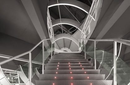 X11 Toy Collection Store | TOMO Design