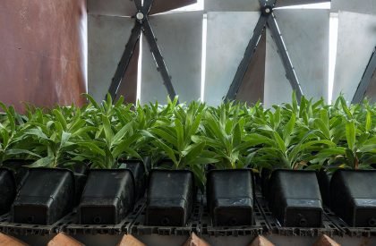 Amigos Kitchen | Amruta Daulatabadkar Architects