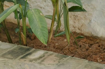 Casa Serbia | Grupo Culata Jovái