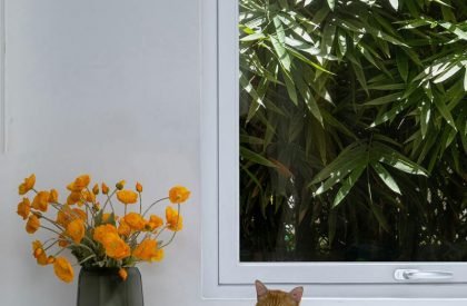 KennaXu Gallery | Da Integrating Limited