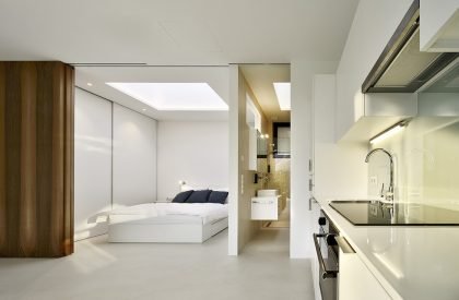 Mirror Houses | Peter Pichler Architecture