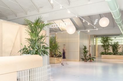 IDT- Brands Distribution | Balance Architettura