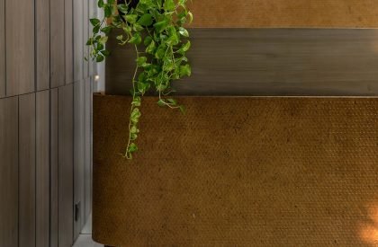 The Curved Wall | Studio Infinity
