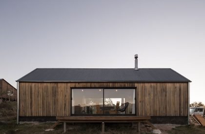 Delfina | TATŪ Arquitectura