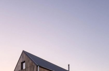 Delfina | TATŪ Arquitectura