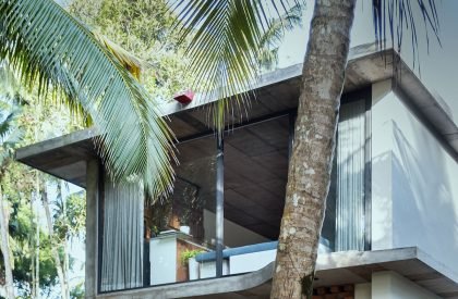 Violet | Nestcraft Architecture