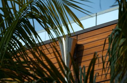 Palm Avenue | Architecture Discipline