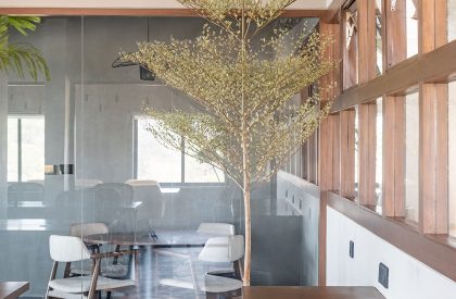 The Mill Project | Quirk Studio