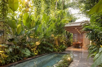 Tropical Shed | Laurent Troost Architectures
