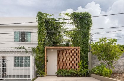 Tropical Shed | Laurent Troost Architectures