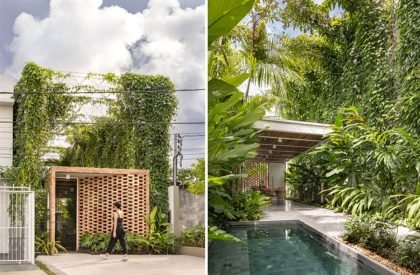 Tropical Shed | Laurent Troost Architectures