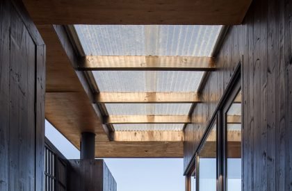 Federica | TATŪ Arquitectura