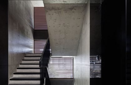 Puro Homes | Mário Alves arquiteto