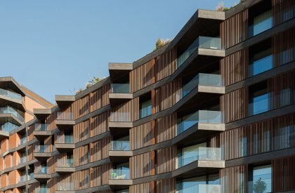 Puro Homes | Mário Alves arquiteto