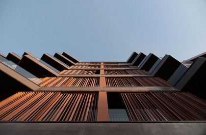 Puro Homes | Mário Alves arquiteto