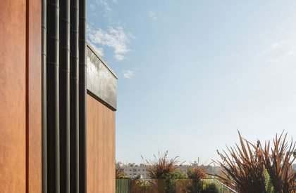 Puro Homes | Mário Alves arquiteto