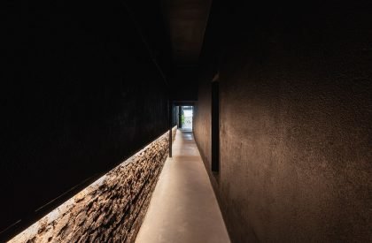 Wild Fi | TIMB Arquitectura