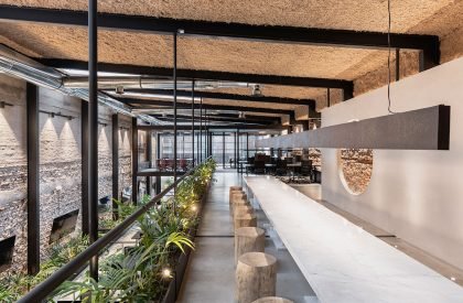 Wild Fi | TIMB Arquitectura